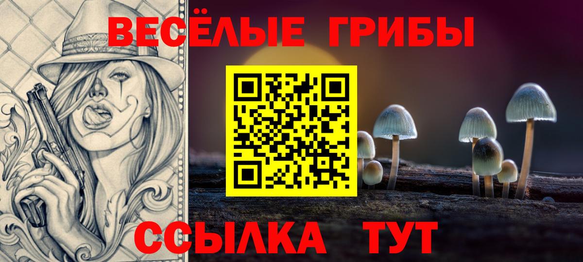 Псилоцибиновые грибы мицелий  Галлюциногенные грибы ЛСД  Вход с VPN  Салехард 